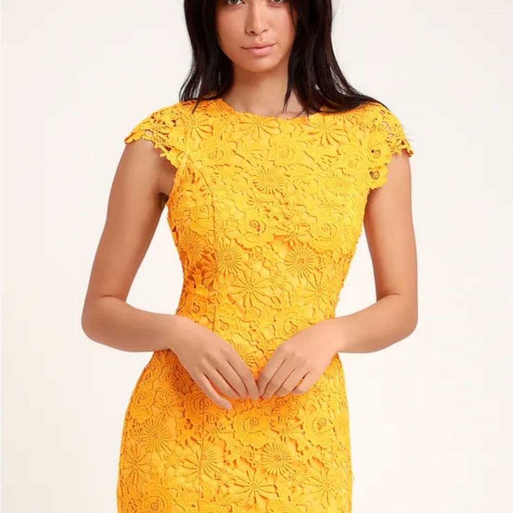 Lulus dress, golden yellow, backless lace dress.